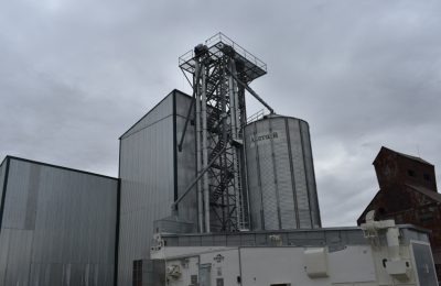 Элеваторы и зернохранилища переполнены в Чулымском районе