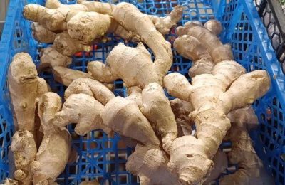 Секреты покупки и хранения имбиря