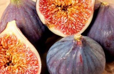 Фиговые чудеса. Удивительные факты об инжире