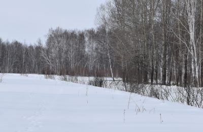 Предстоящий сезон: паводок и пожары