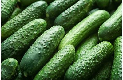 Новосибирцы жалуются на подорожание огурцов