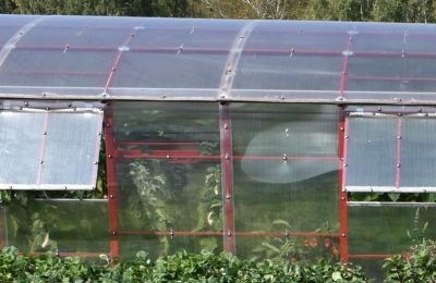 Как подготовить теплицу к новому сезону