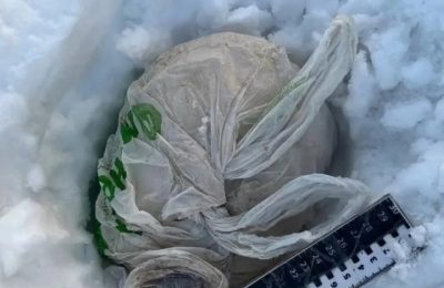 В Чулымском районе Новосибирской области задержали  женщину-наркокурьера