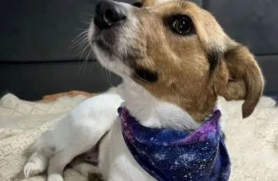 Оливия. Оставил на рельсах