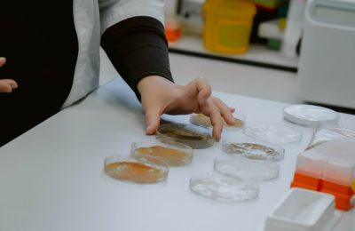 Учёные НГТУ НЭТИ разработали экологичный гель для обработки семян