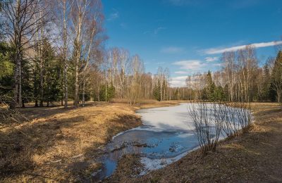 Синоптики предупреждают: погода в апреле будет капризной