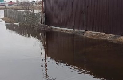 Прямая линия о весеннем половодье пройдет в Новосибирской области