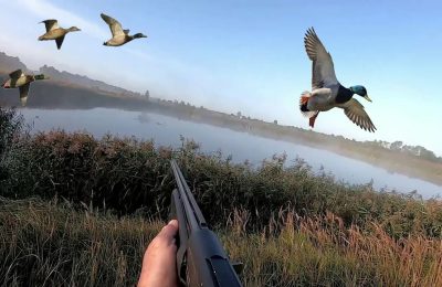 Сезон весенней охоты в разгаре в Чулымском районе