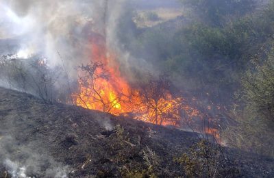 После весеннего паводка в регион придет засуха