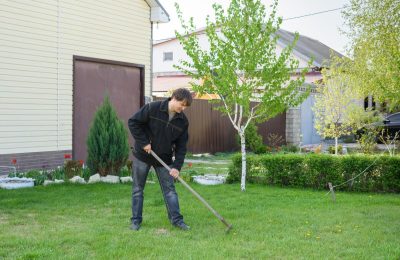 Сезон клещей начался в Новосибирской области