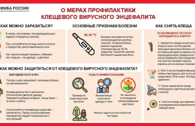 Защищаемся от клещей