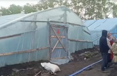 Нелегальных мигрантов выявили в искитимских теплицах