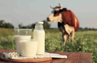 Пейте, дети, «живой продукт»