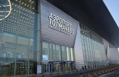Собака прервала работу аэропорта Толмачёво