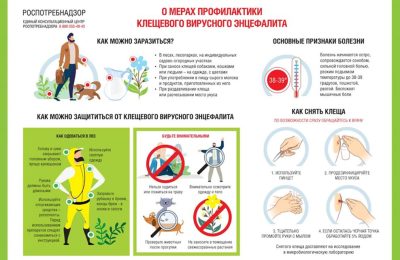 Роспотребнадзор напоминает новосибирцам о мерах  профилактики клещевого вирусного энцефалита