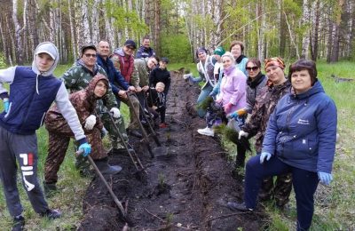 «Зеленая зона» Чулыма — наше послевоенное наследие