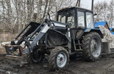 Лошадь стала виновницей  ДТП в Доволенском районе
