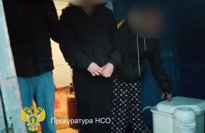 В Новосибирской области женщина  похитила  и вывезла на санках 2 тонны угля