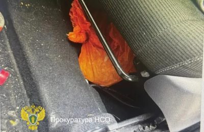 Чулымский районный суд вынес приговор 33-летней женщине за покушение на сбыт наркотиков