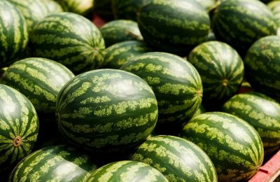 С начала года в Новосибирскую область ввезли около 20 тысяч тонн арбузов.