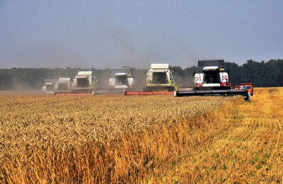 Новосибирская область наращивает экспорт продукции АПК